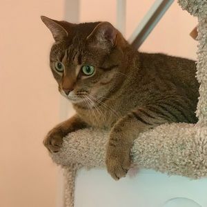 Meet your Posher, Kari